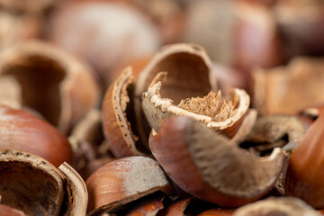 debris left after peeling the hazelnuts from the shell