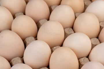 Tray with a large number of white chicken eggs