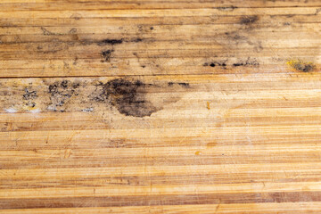 covered with mold and fungus bamboo cutting board © rsooll