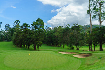 Golf course with alpine trees in Nuwara eliya