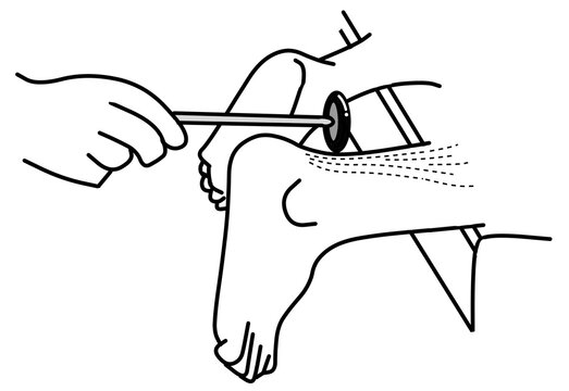 The physical examination of reflex.