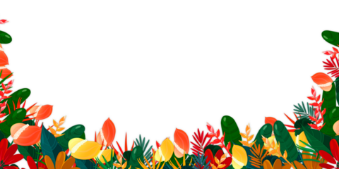 Beautiful colorful Floral leaves, bottom side, template decoration, isolated on transparent background,