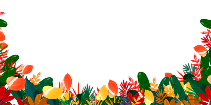 Beautiful colorful Floral leaves, bottom side, template decoration, isolated on transparent background,