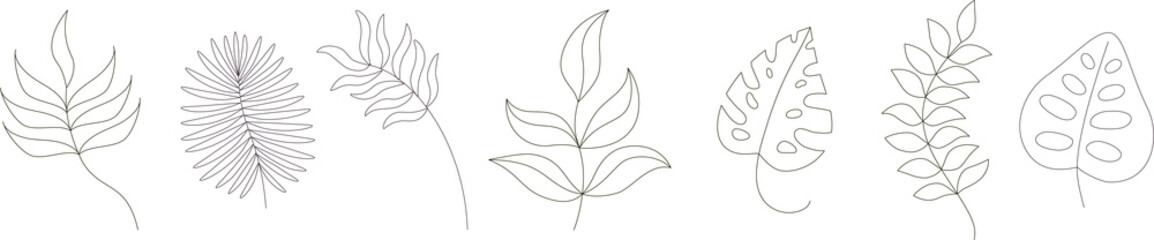 Hand drawn abstract minimal.Hand drawn plants, organic shapes, dots, lines. Vector set of minimal trendy abstract natural elements for graphic design