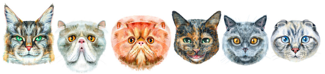 Border of portraits of cats of different breeds. Watercolor hand drawn illustration