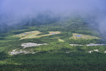 Fototapeta premium Wild swamp near Big Iremel Mount, Bashkortostan Republic of Russia