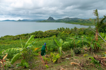 Rural scenes with stunning tropical landscapes and seascapes as backdrop, Queen's Road, north...