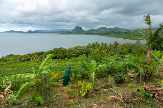 Rural scenes with stunning tropical landscapes and seascapes as backdrop, Queen's Road, north shores of Viti Levu, Fji