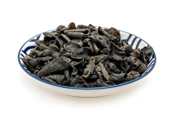 black fungus on white background