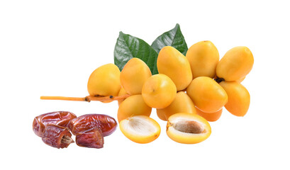 fresh and dry date palm  fruit on transparent png