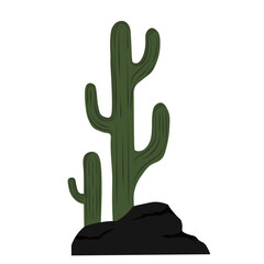 cactus in desert vector stock illustration. A prickly green plant. Isolated on a white background.