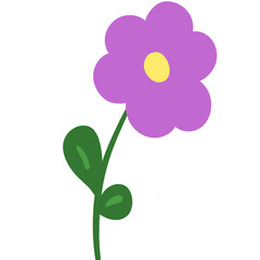 flowerwith natural purple flowers 