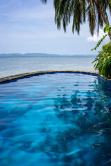 A refreshing infinity pool with clear blue water overlooking the Philippine Sea. Next to the pool are tropical plants and a palm tree.