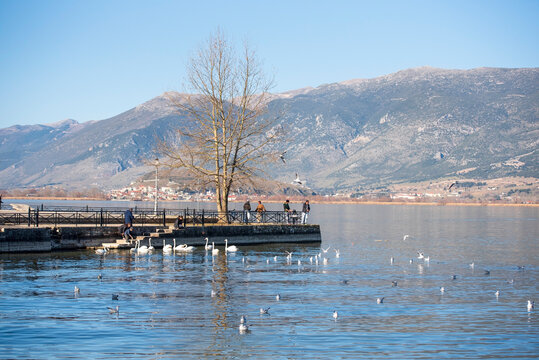 view of the lake Pamvotis in the morning. Ioannina city, Greece