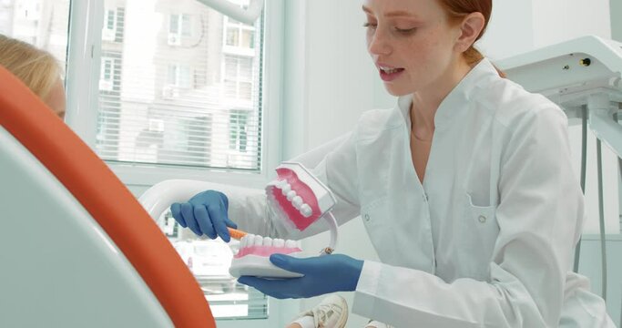Close up of professional beautiful female dentist showing little patient how to brush teeth properly. Woman orthodontist in gloves holding toothbrush, artificial jaw teaching kid tips advice