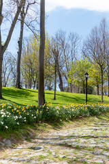 Naklejka na ściany i meble Fresh Green Istanbul City Park at Spring time