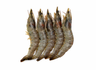 fresh raw shrimps