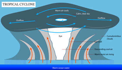 Diagram of the tropical cyclone with labelled parts