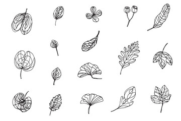 Set of minimal leaf drawings, single leaf ink sketching isolated on white background vector, natural plant simple outline drawing graphic element, botanical drawing decorative element