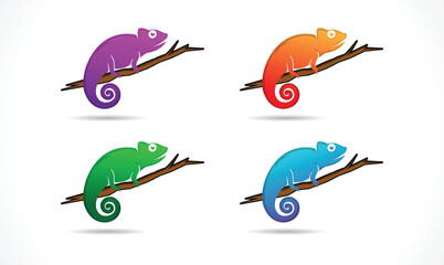 Chameleon Logo Design