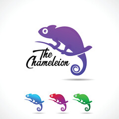 Chameleon Logo Design