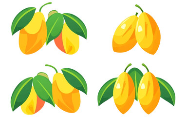 set vector illustration of ripe mango or plum isolated on white background