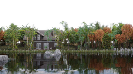 house in the jungle on the river bank on a transparent background, 3D illustration, cg render