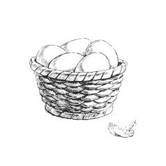 Vector hand-drawn illustration of a basket with white eggs in the style of an engraving. Sketch of a fresh natural product. - 595221696