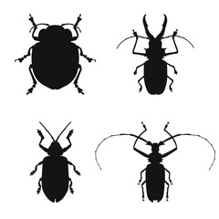 Collection of silhouettes of bug. Illustration on transparent background