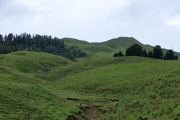 Beautiful view of alpine meadows at Uttarkashi ,India, Asia, rekking tours are planned in a large number during summers when weather remains pleasant and the sky is clear.