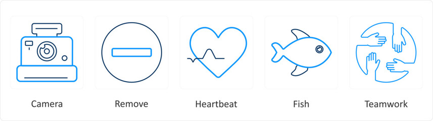 A set of 5 mix icons as camera, remove, heart beat