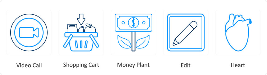 A set of 5 mix icons as video call, shopping cart, money plant