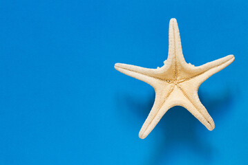 Fototapeta na wymiar Flat lay composition with beautiful starfish on colored blue table. Vacation concept. Summer time concept. Top view, mockup, copy space for text. 