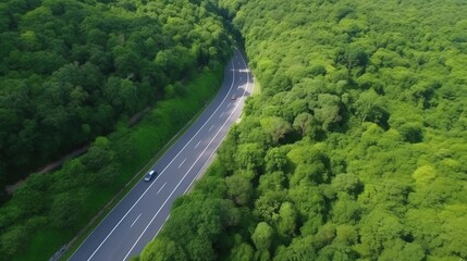 Fototapeta premium Aerial top view forest tree with car ecosystem environment concept&nbsp;Countryside road passing through the green forrest and mountain.