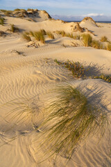 Sand dunes in Valdoviño beach in the coast of Galicia at sunset in a sunny day. A Coruña, Spain.