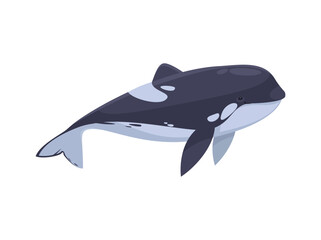 Flat Orca Whale