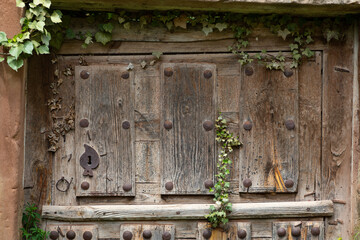 Una vieja puerta de una casa abandonada de pueblo es colonizada por la hiedra.