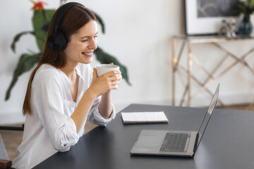 Business woman employee CEO hr manager having online conference interview with job candidate Female...