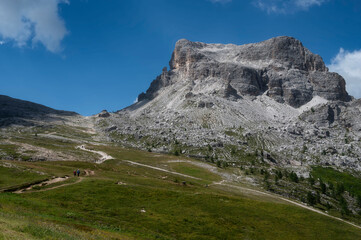 Cinque Torri meadow in Dolomites, Italy during summer with flower blossoms.
