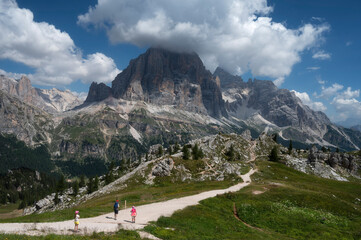 Cinque Torri meadow in Dolomites, Italy during summer with flower blossoms.