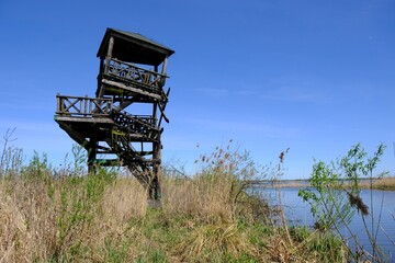 Fototapeta na wymiar Wooden viewing platform by the lake Druzno, Nature Reserve Druzno Lake, Zulawy Elblaskie, Poland