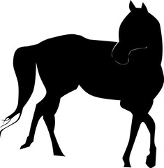 horse silhouette vector