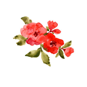 Abstract red flowers isolated on white background. Watercolor illustration.