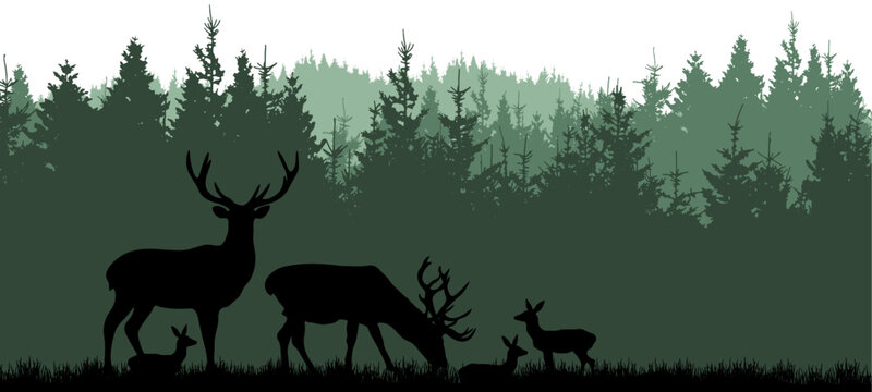 Black Silhouette Of Fir Spruce Trees And Wild Deer, Landscape Panorama Illustration Icon Vector For Forest Woods Wildlife Adventure Camping Logo, Isolated On White Background