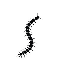 caterpillar icon, vector best flat icon.