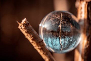 Crystal ball perched atop a wooden pole reflecting the surrounding dense forest