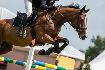 Professional horse jumping over a hurdle at an equestrian competition