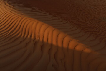 Beautiful sandy desert in Oman