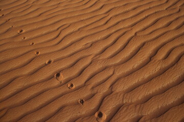 Beautiful sandy desert in Oman