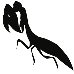 silhouette of a locust
